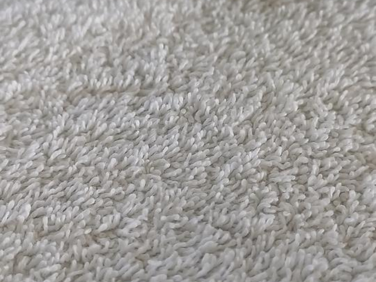 Etnia barcelona - kyoto  hbvl