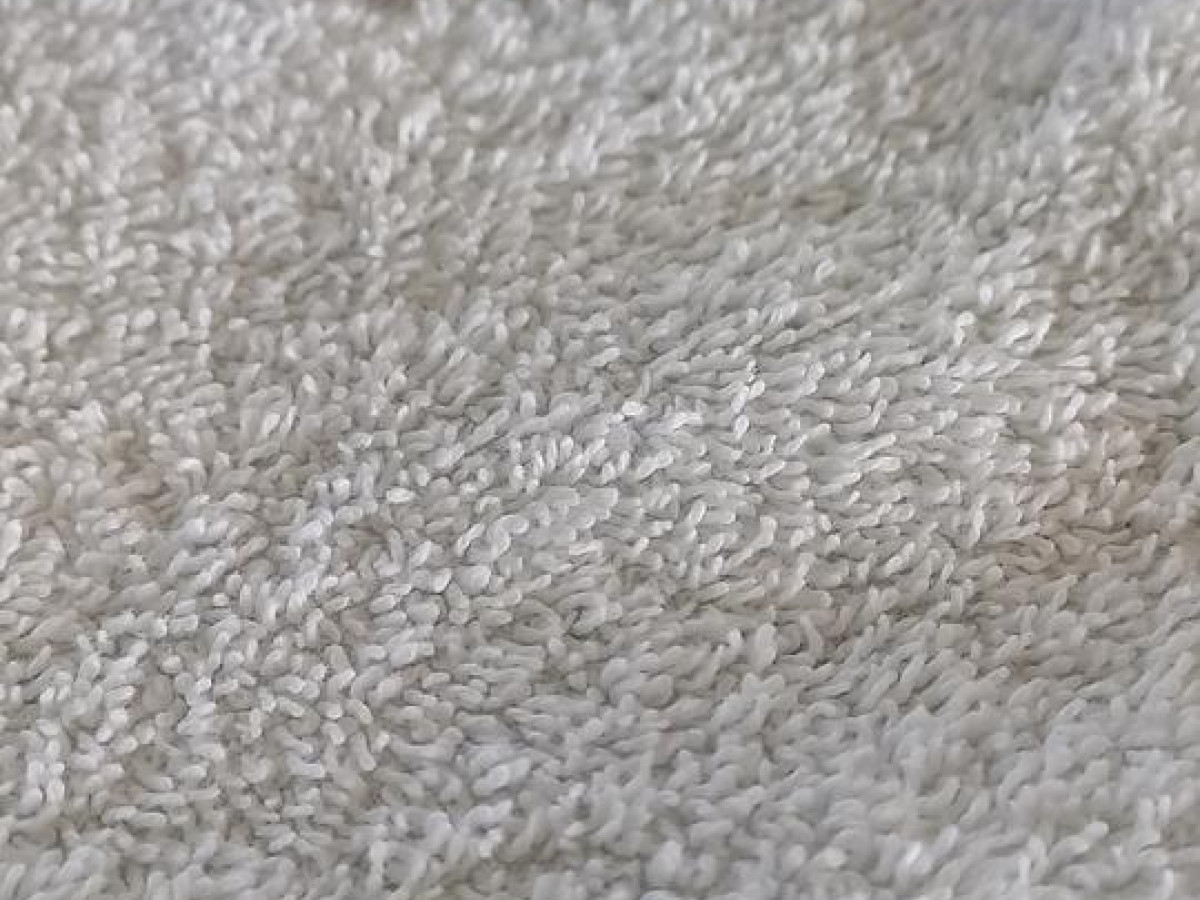 Etnia barcelona - kyoto  hbvl