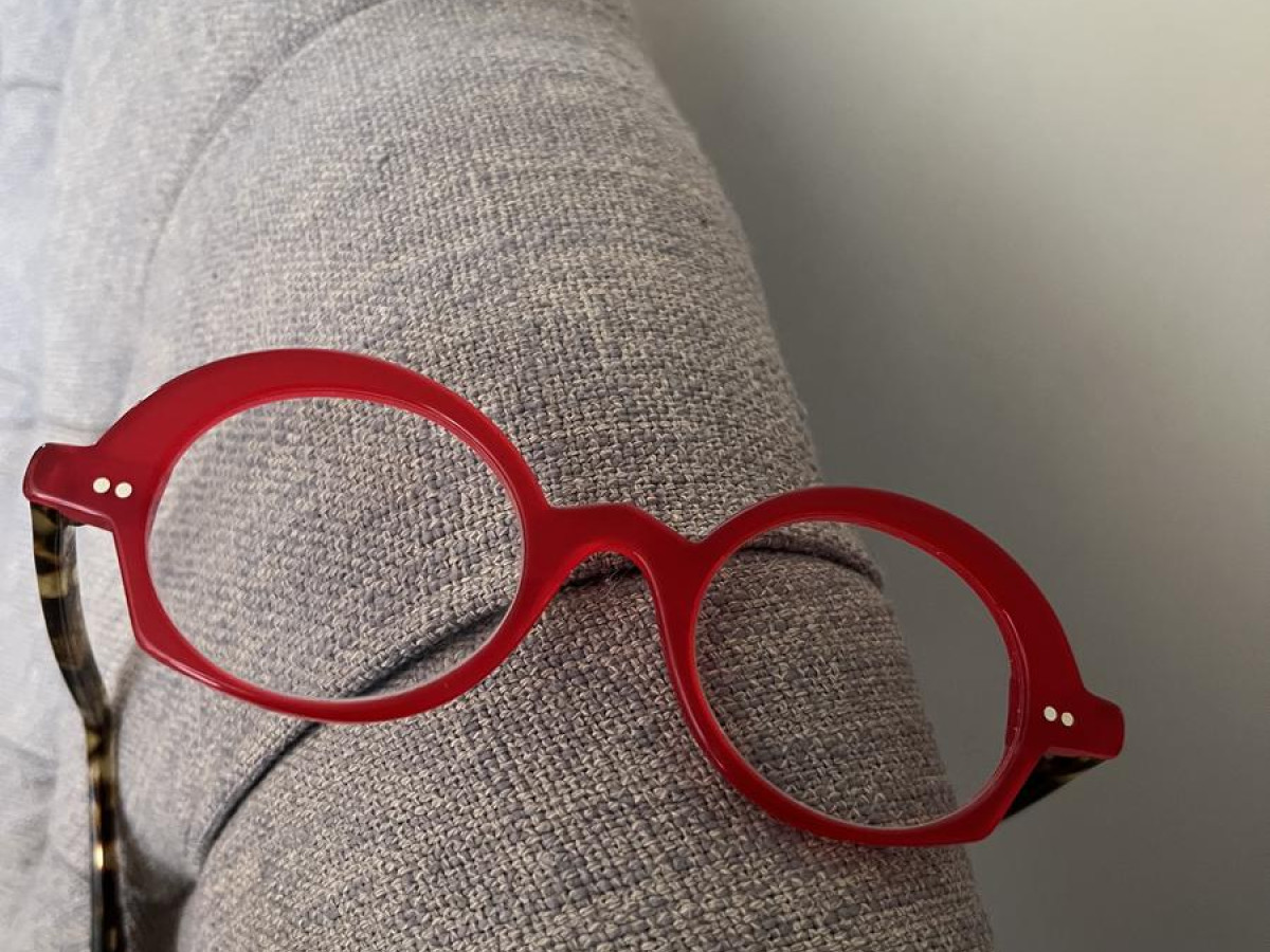 la brique et la violette - Sandrine