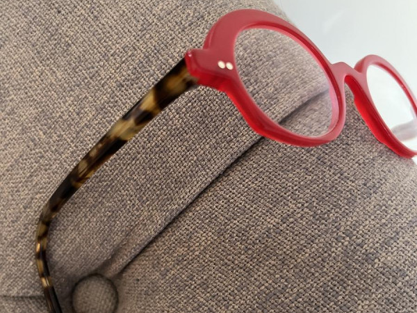 la brique et la violette - Sandrine