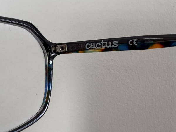 Cactus - c04102021chu