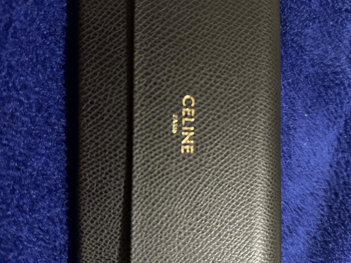 CELINE Triomphe - CL50131I