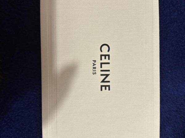 CELINE Triomphe - CL50131I