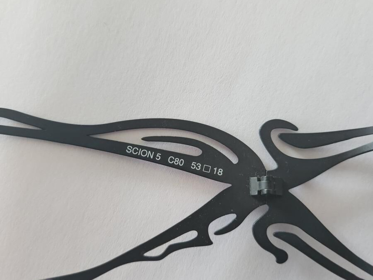 PARASITE - SCION5 C80 53 □18