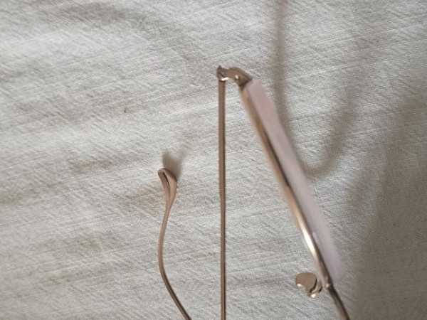 Caroline abram willow