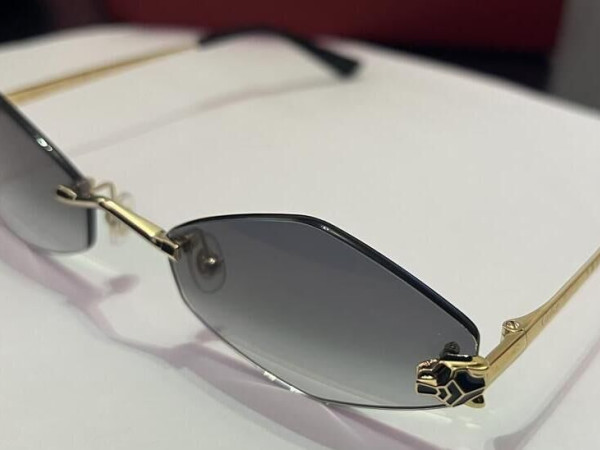 Cartier - CT0433S