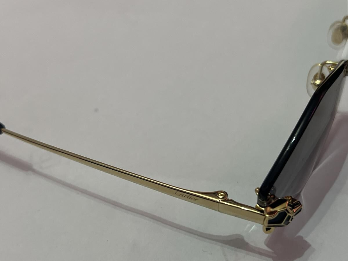 Cartier - CT0433S