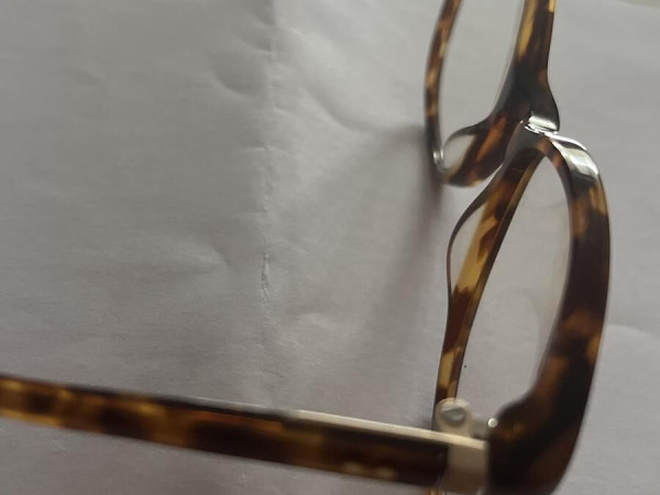 PAUL & JOE - CLEMATIS 13 E183