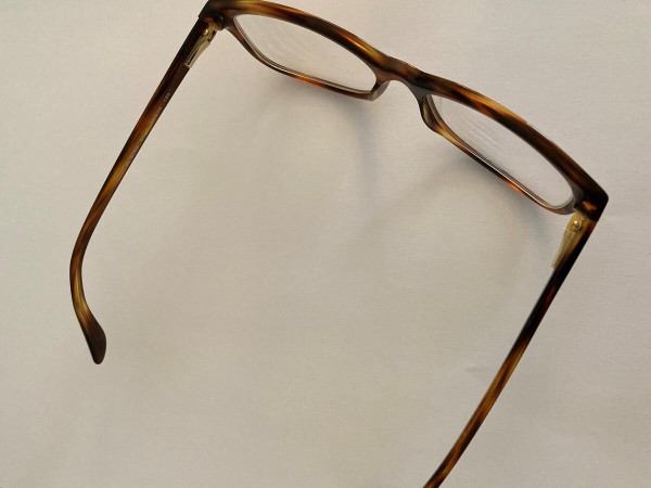 RALPH LAUREN RL6062 5007