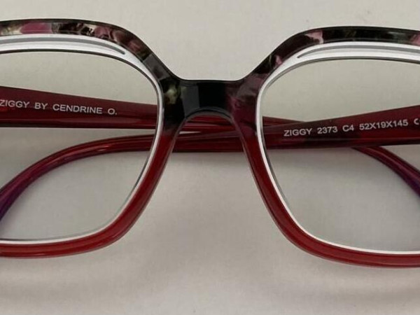 Ziggy - 2373 - Traditionnel