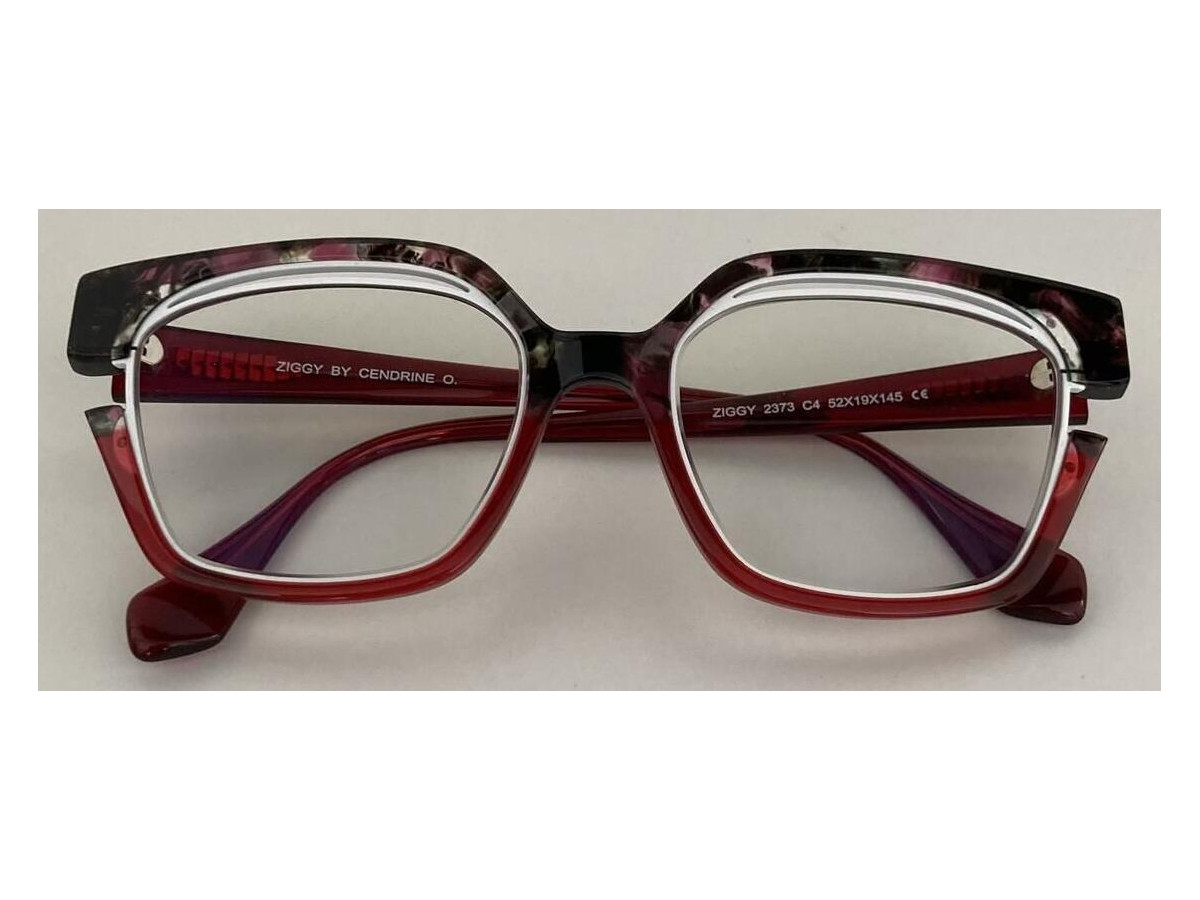 Ziggy - 2373 - Traditionnel