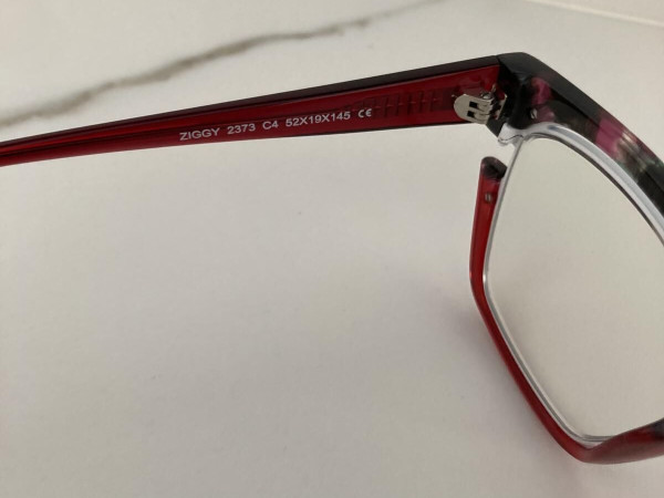 Ziggy - 2373 - Traditionnel