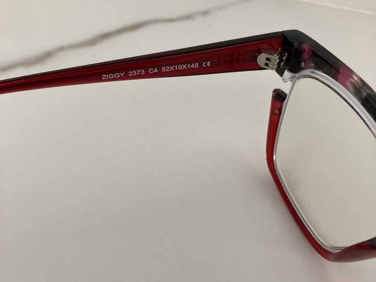 Ziggy - 2373 - Traditionnel