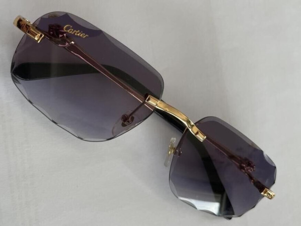 Cartier ct0281o 001