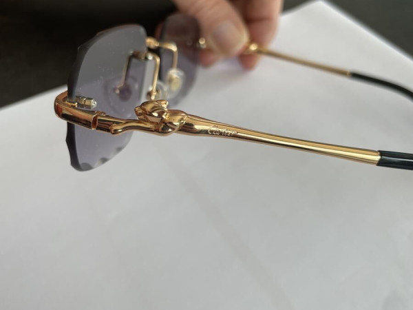 Cartier ct0281o 001