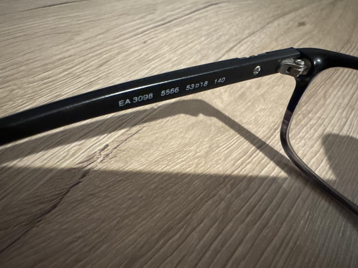 EMPORIO ARMANI EA3008 5566