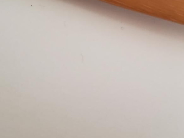 Acuitis - ania 47/19