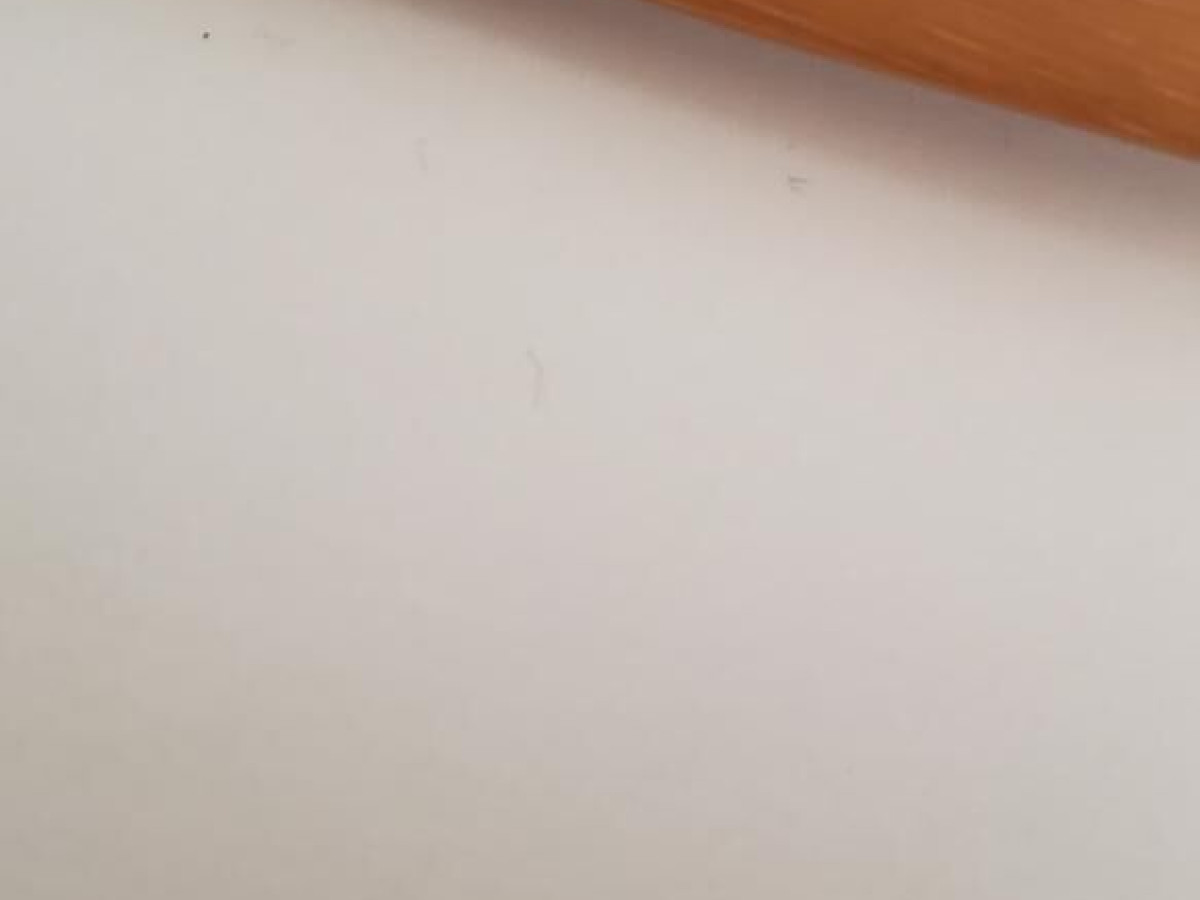 Acuitis - ania 47/19