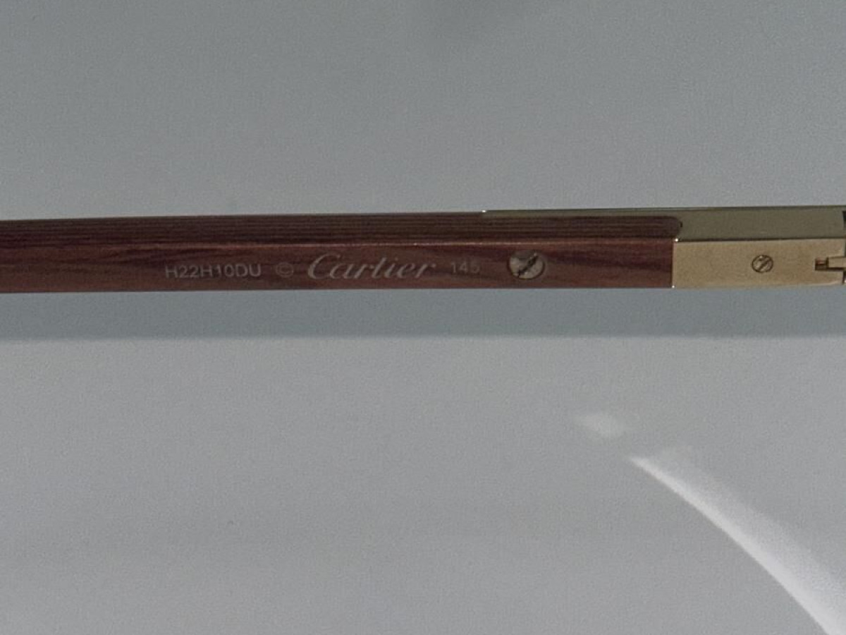 Cartier - CT04110
