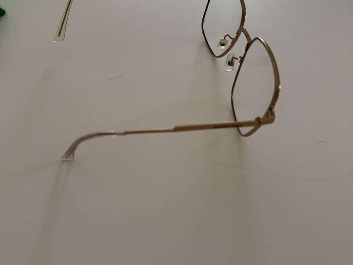 BOTTEGA VENETA - BV1110O