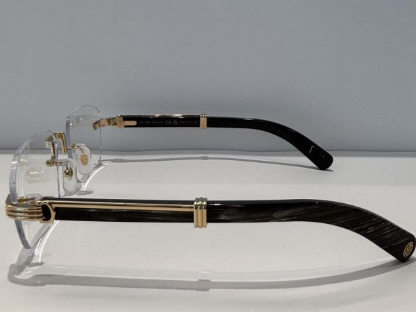 CARTIER - CT0377O 001