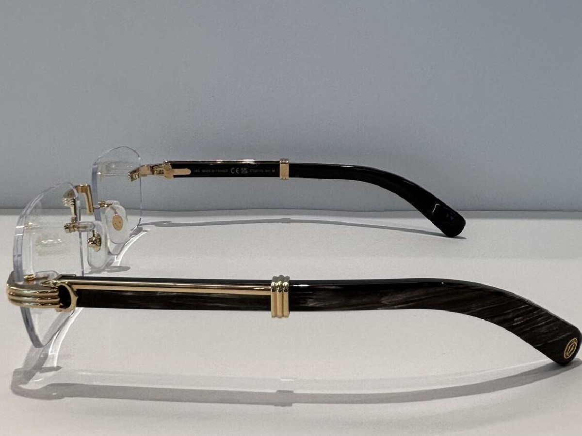 CARTIER - CT0377O 001