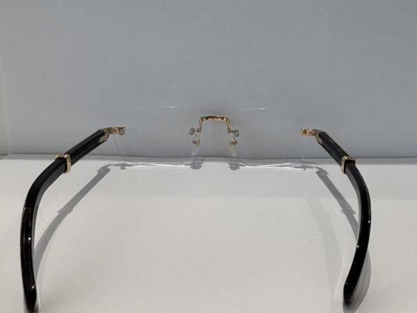 CARTIER - CT0377O 001