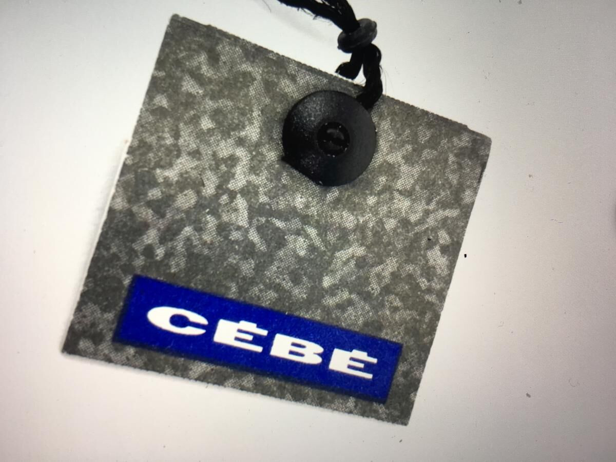 CEBE 295