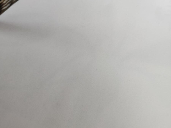 J.F REY - JF2309 0462