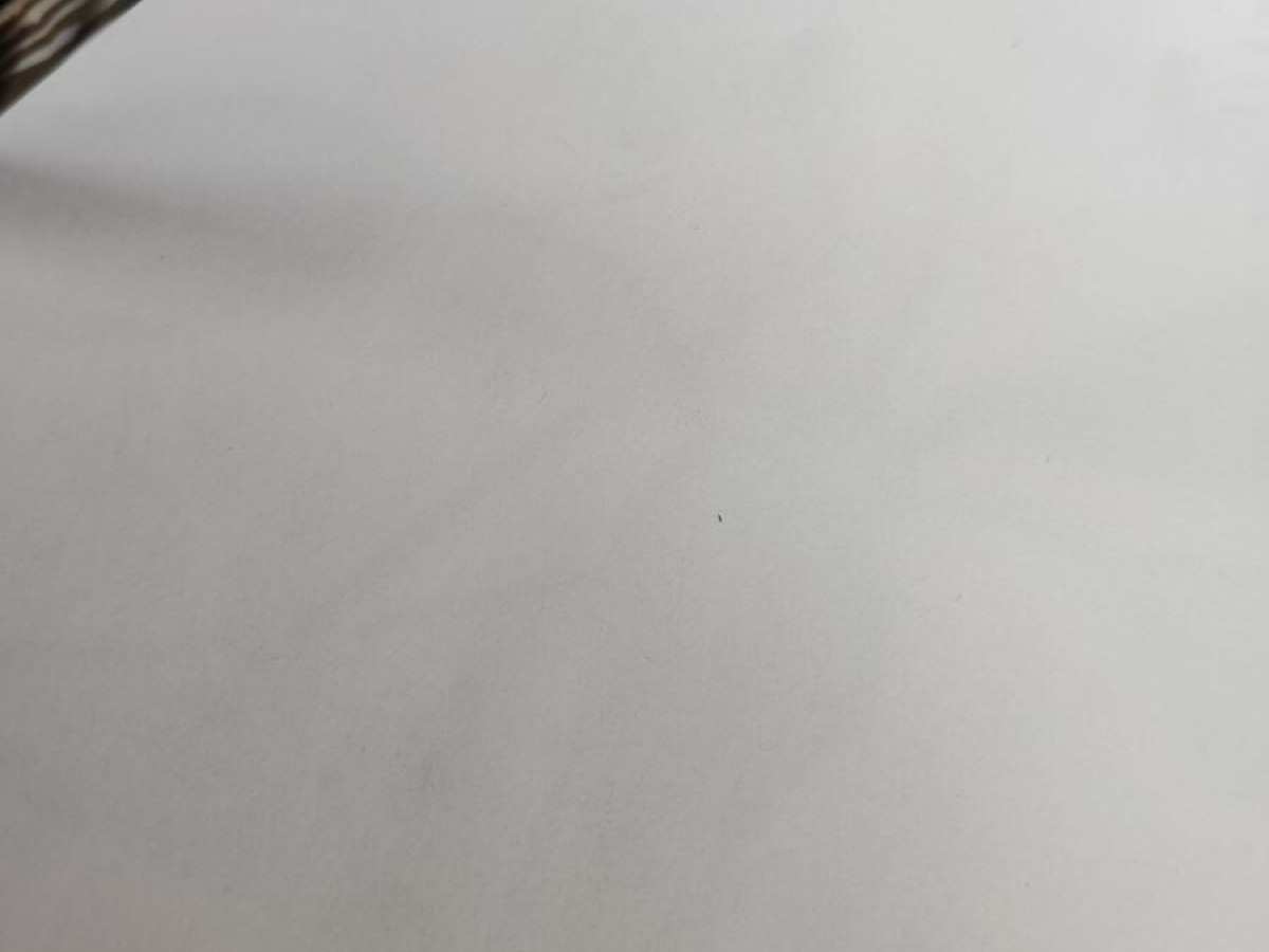 J.F REY - JF2309 0462