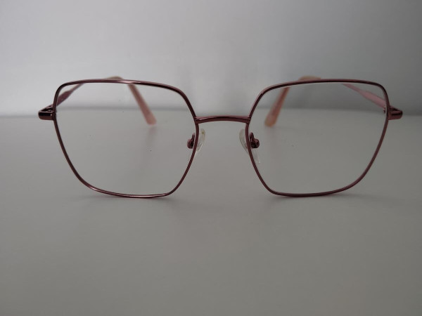 L atelier de l optique...