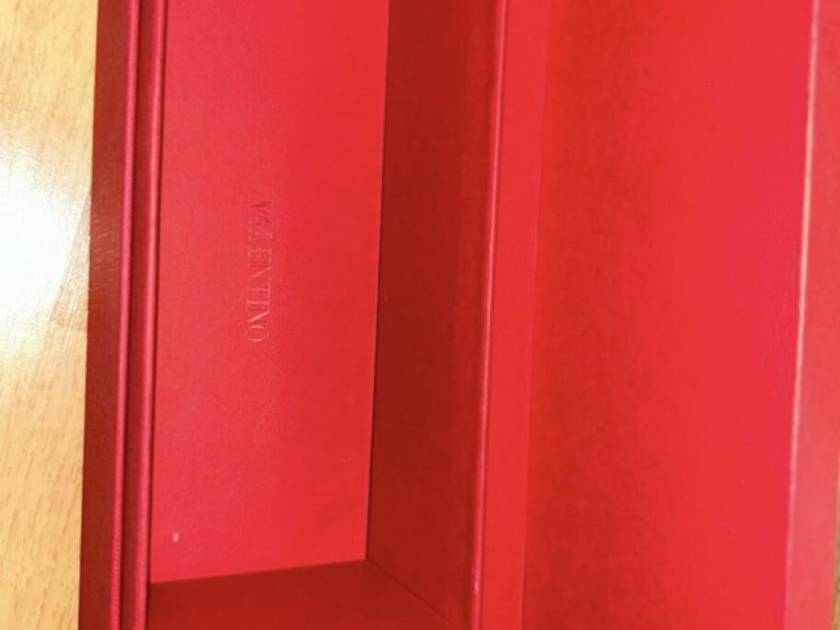 Valentino VLogo