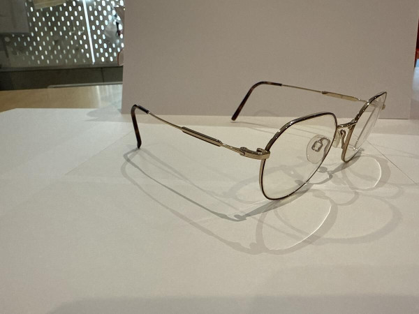 Charmant titanium perfection - CH29733