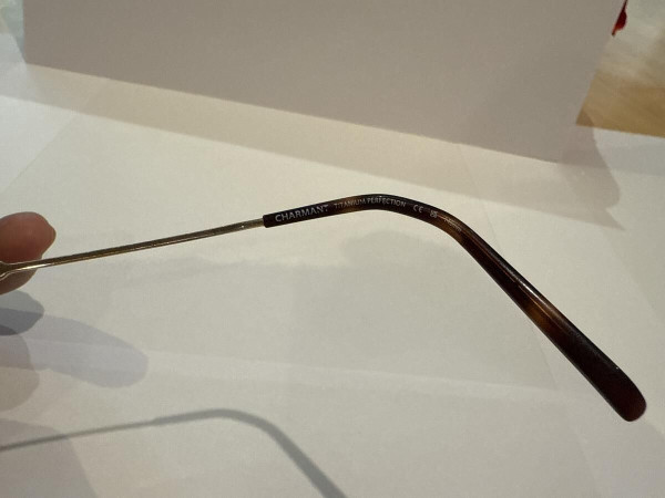 Charmant titanium perfection - CH29733