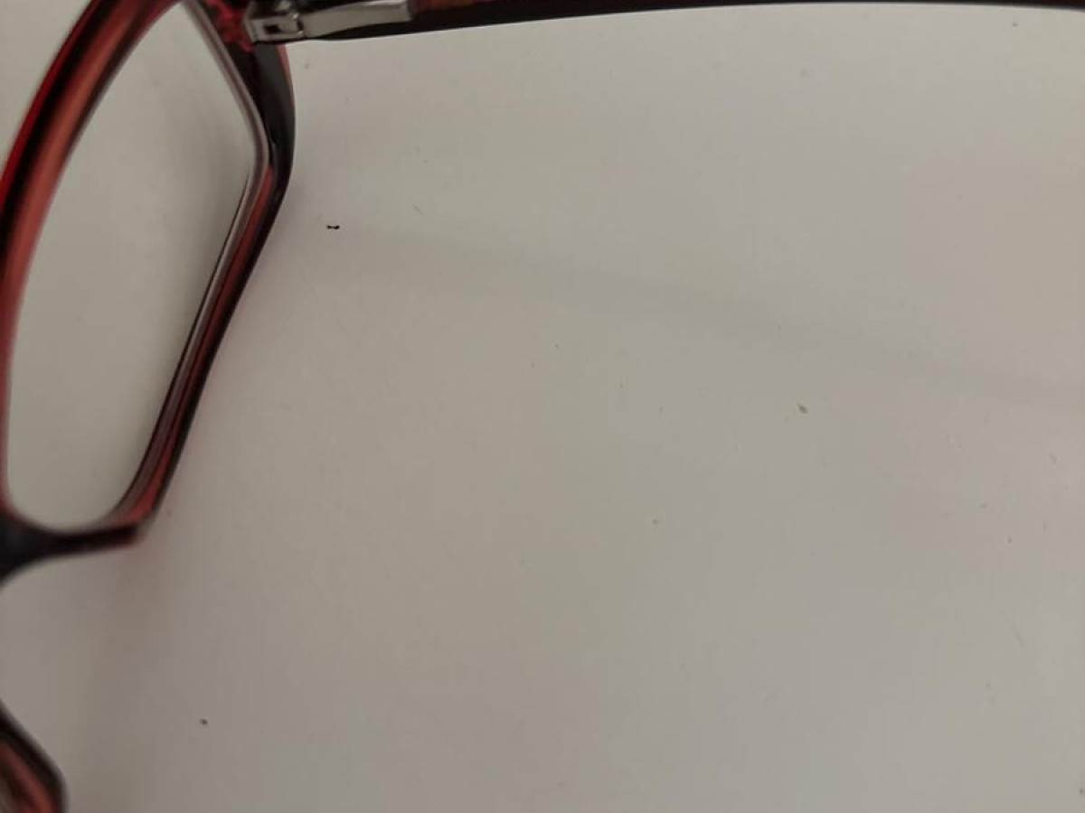 CHANEL - C1219 51/15