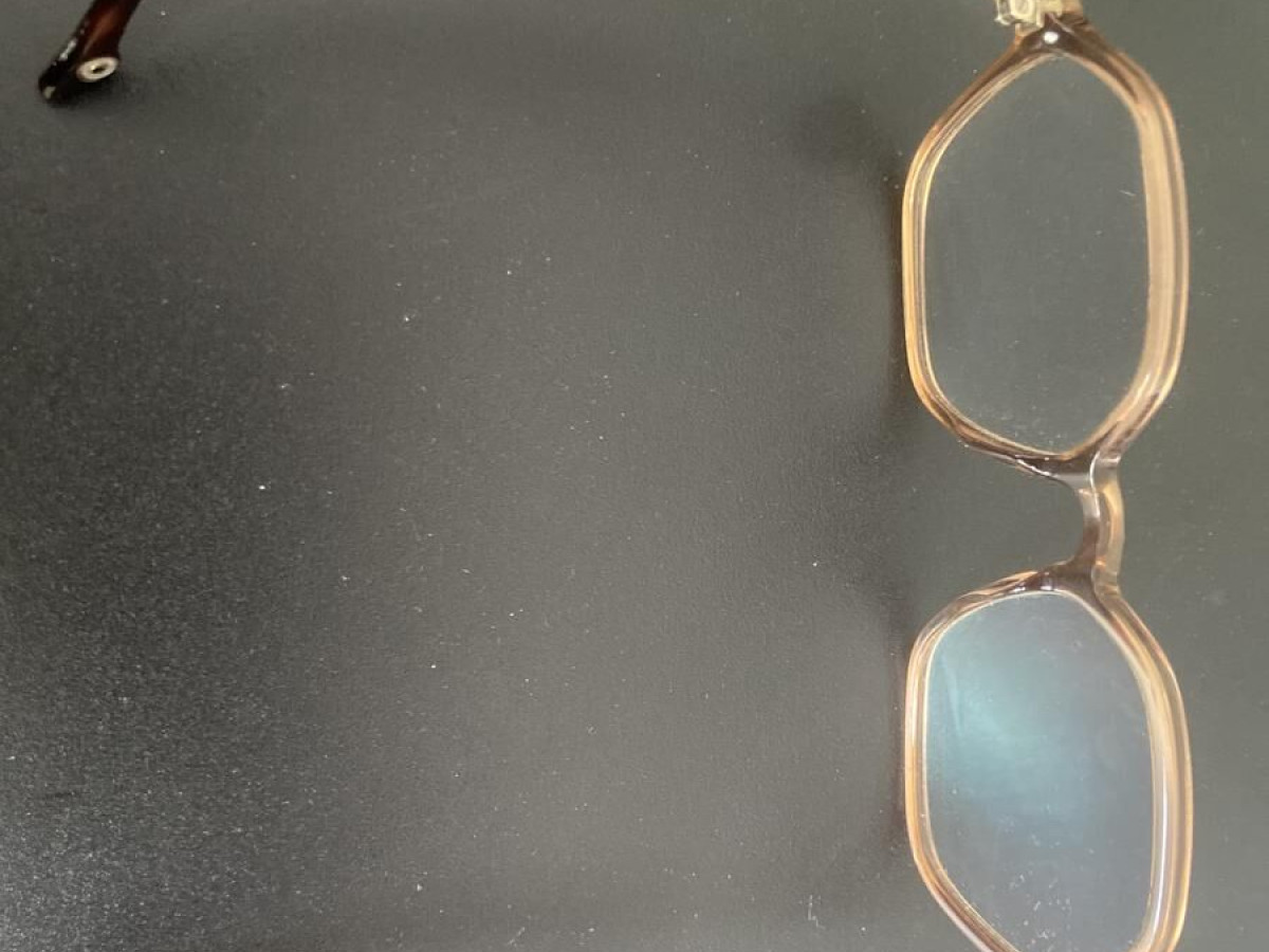 Inès de la fressange Lena c1 52/17