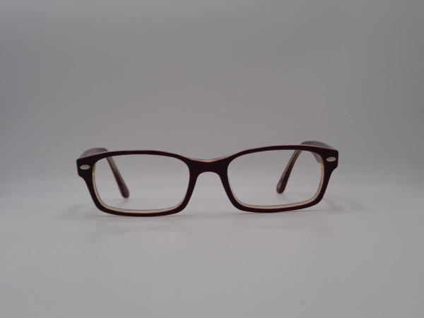 RAY-BAN RB 5206
