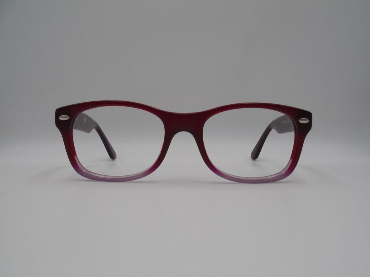 RAY-BAN RB 1528