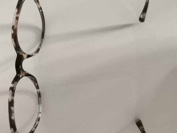 La paresseuse-2205 324 53