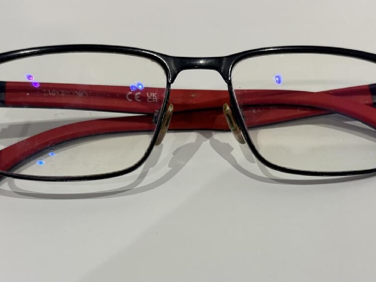 EMPORIO ARMANI - EA1105