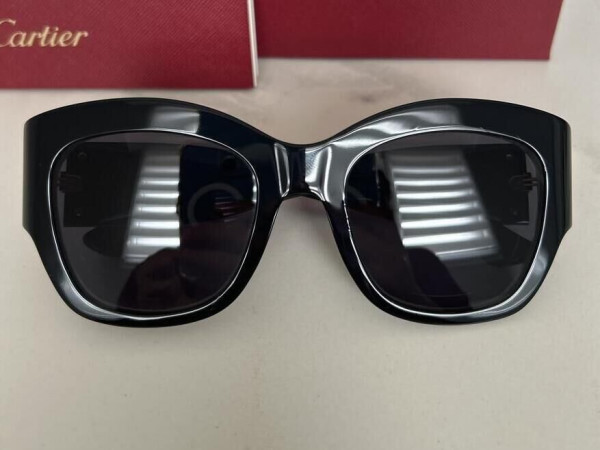 Cartier - CT0304S
