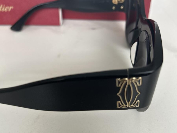 Cartier - CT0304S