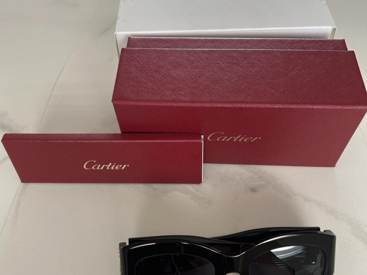 Cartier - CT0304S