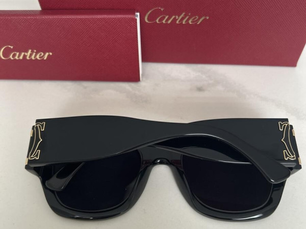 Cartier - CT0304S