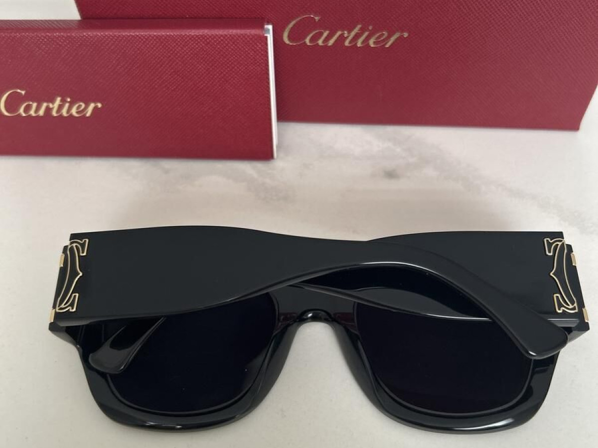 Cartier - CT0304S