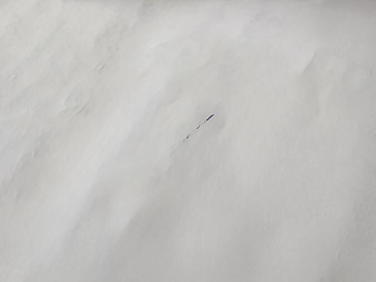 Oxydo - LEOX D28R6 64/15