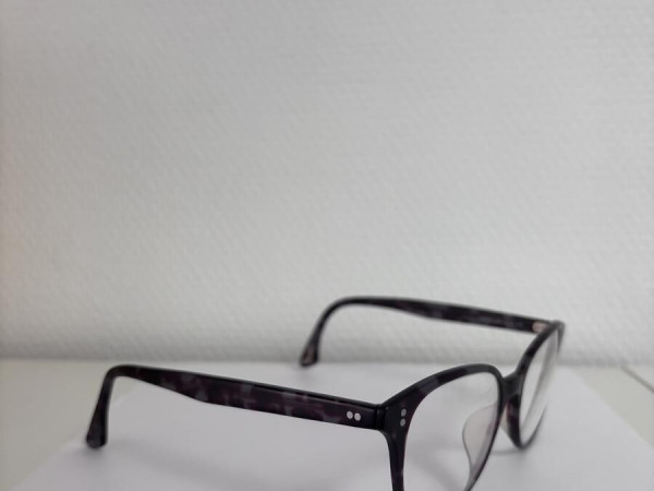 Zadig et voltaire VZV032 COL.721M 145