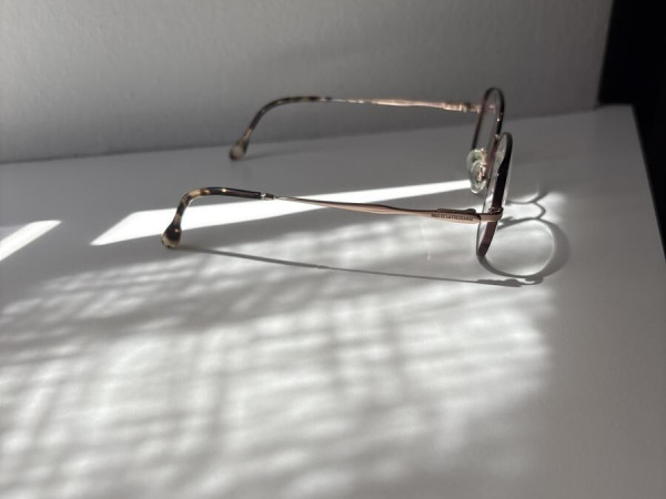 INÈS DE LA FRESSANGE