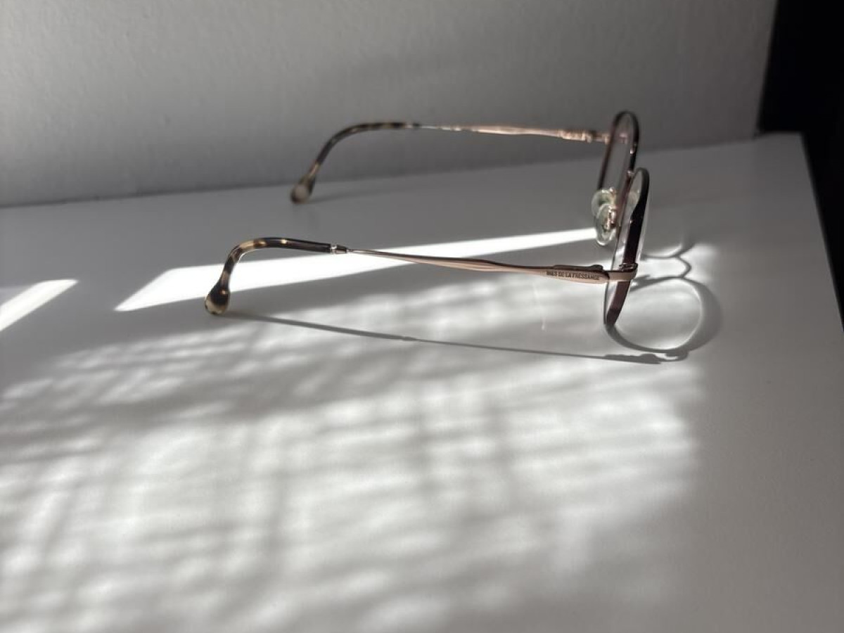 INÈS DE LA FRESSANGE