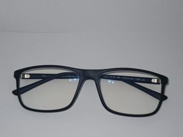 ALTERNANCE - ALT 21110 401...